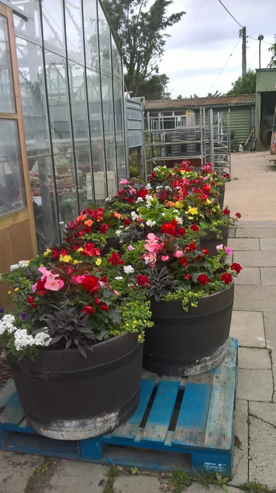 Poulton In Bloom 2021 displays ready to be delivered