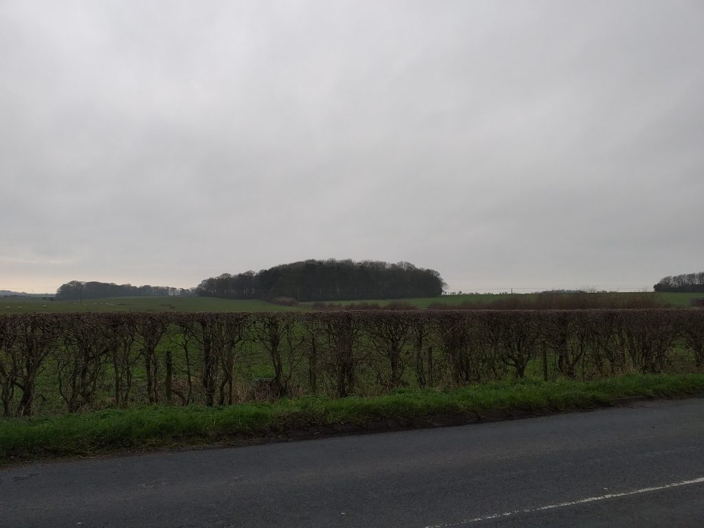 Hedgerows in the countryside